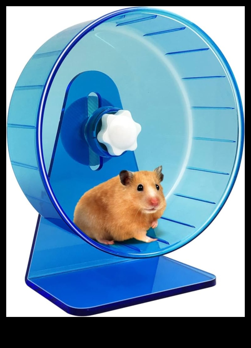 Hamster Tekerleği Seçenekleri Devam Ediyor: Sessiz ve Rahat Seçimler