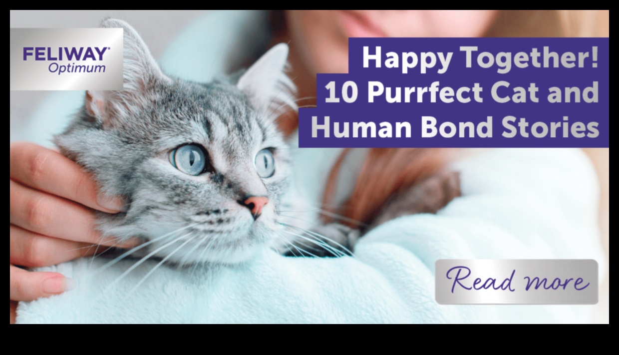 Purr-fect Partners: Tarih Boyunca Kedi-İnsan Bağlarını Keşfetmek