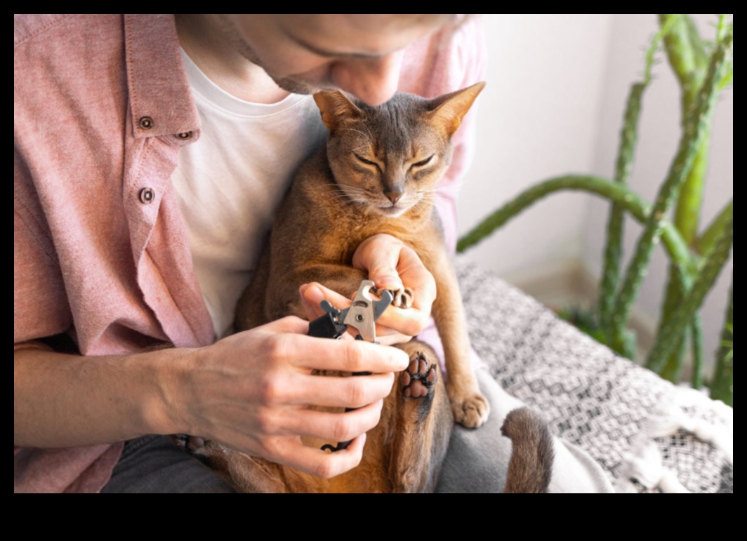 Pawdicures ve Ötesi: Köpekler ve Kediler İçin Pati Bakımı